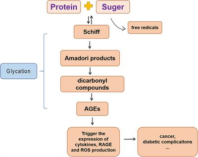 Advanced glycation end products in diabetic retinopathy and phytochemical therapy
